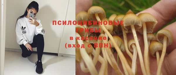 синтетический гашиш Новодвинск
