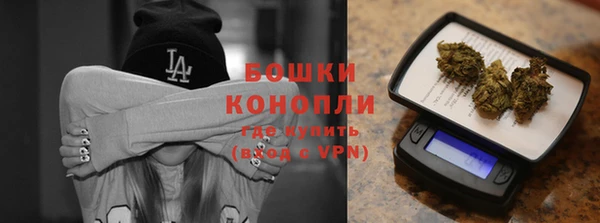 прущие грибы Новокубанск