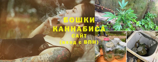 молекула духа Няндома
