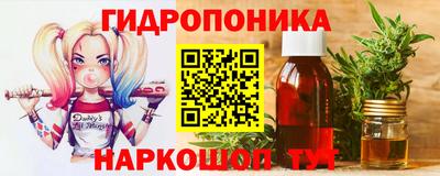 мяу мяу мука Гатчина