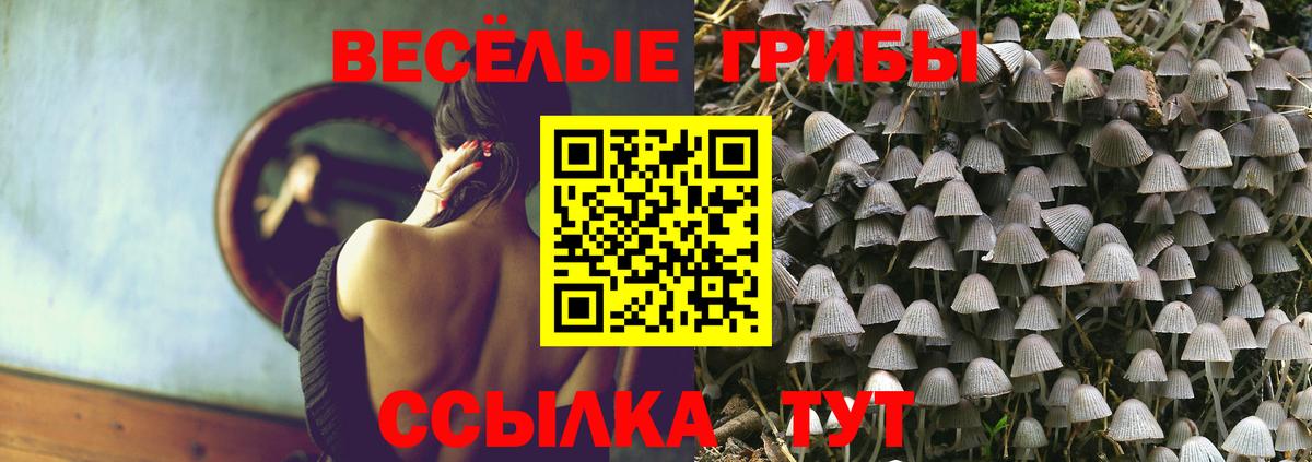 что такое наркотик  Галлюциногенные грибы Psilocybe  Вход с VPN  Анапа 